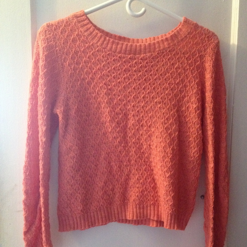 Pink Rose Fitted long sleeve sweater